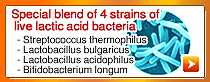 4種類の乳酸菌